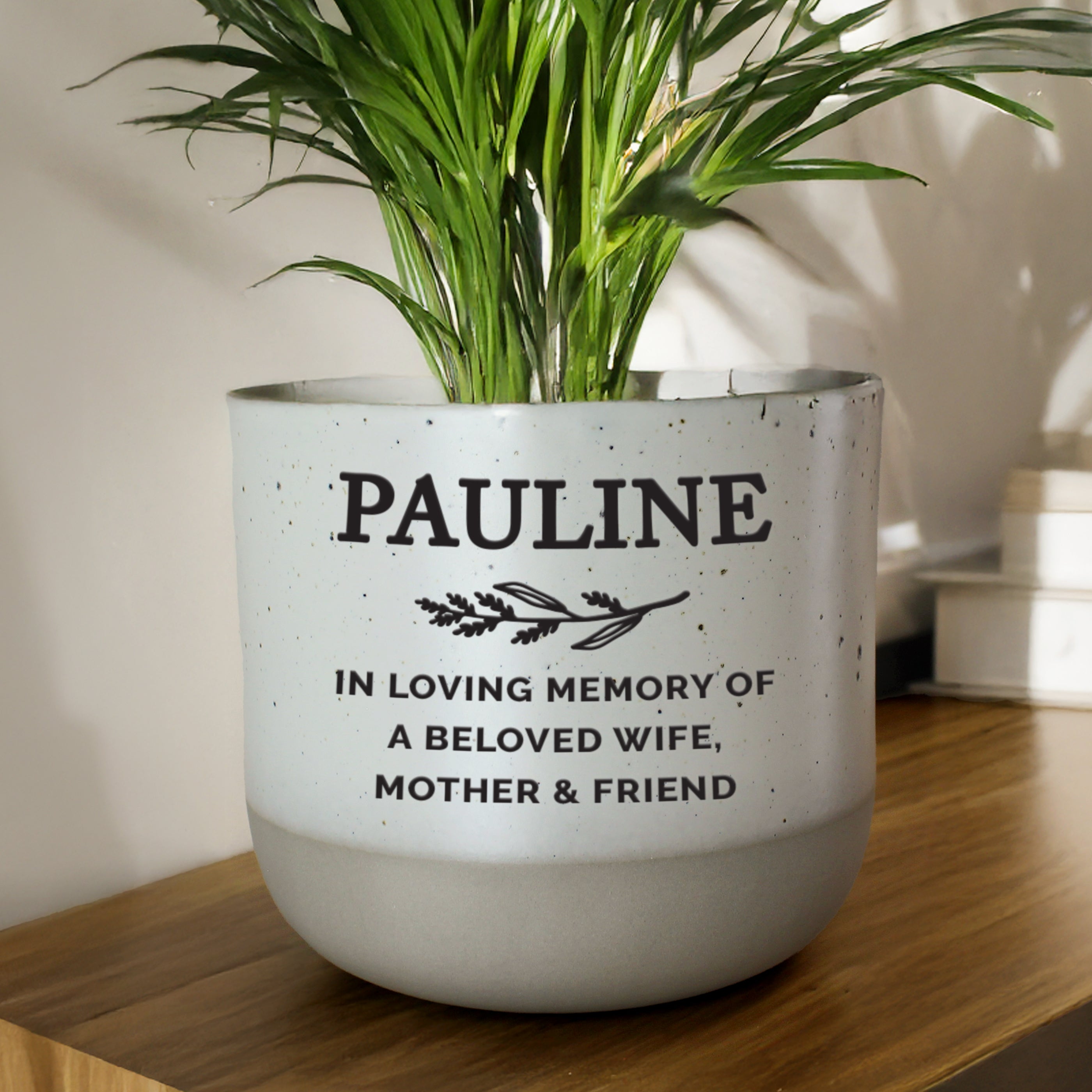 White planter with green plant labeled 'PAULINE' on a wooden surface.
