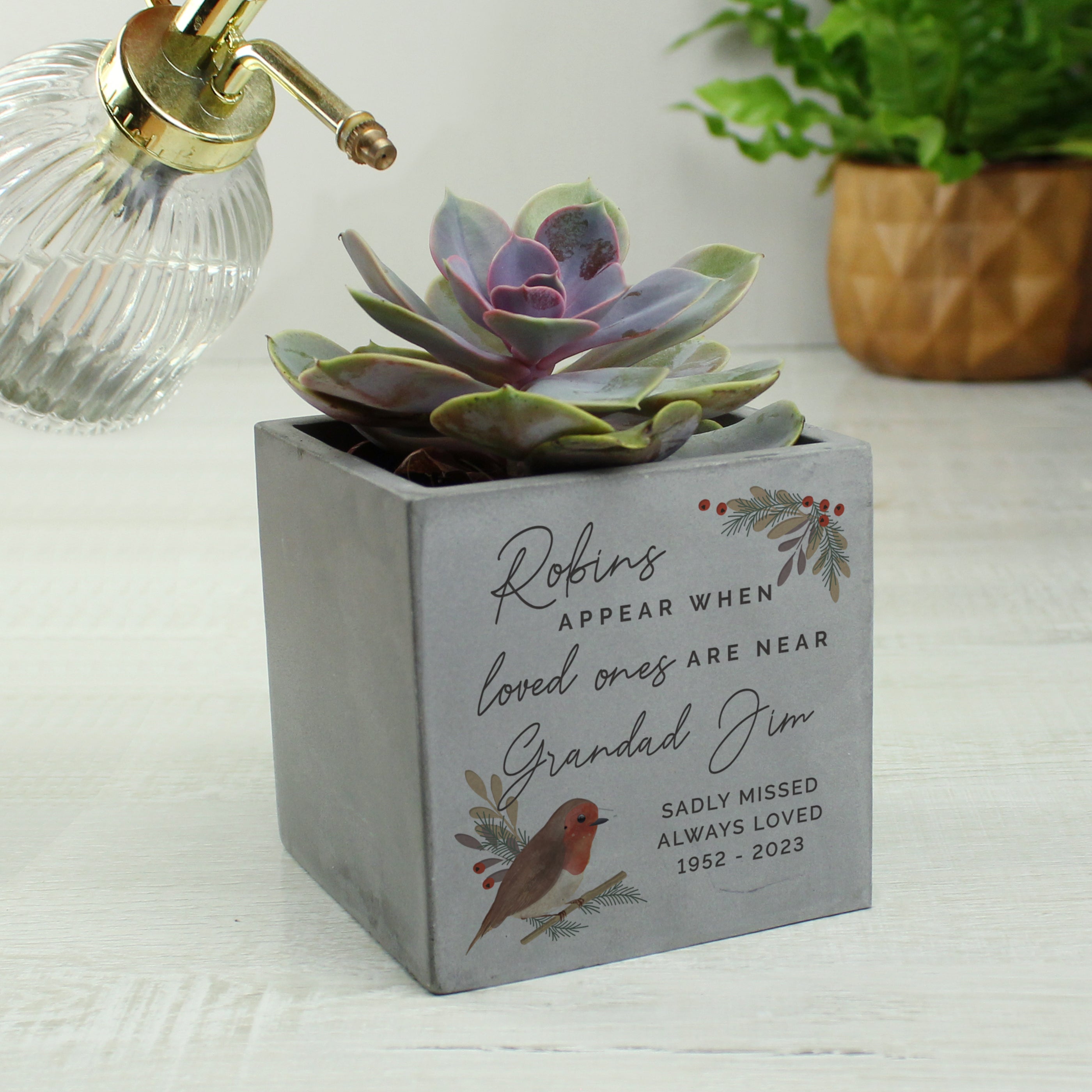 Cement planter with succulent plant and engraved text on a white surface.